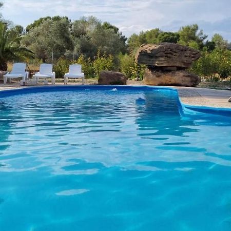 Casa Con Vistas, Piscina Y Animales De Granja, La Caseta Tarragona Ngoại thất bức ảnh