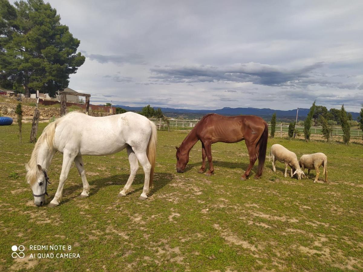 Casa Con Vistas, Piscina Y Animales De Granja, La Caseta Tarragona Ngoại thất bức ảnh