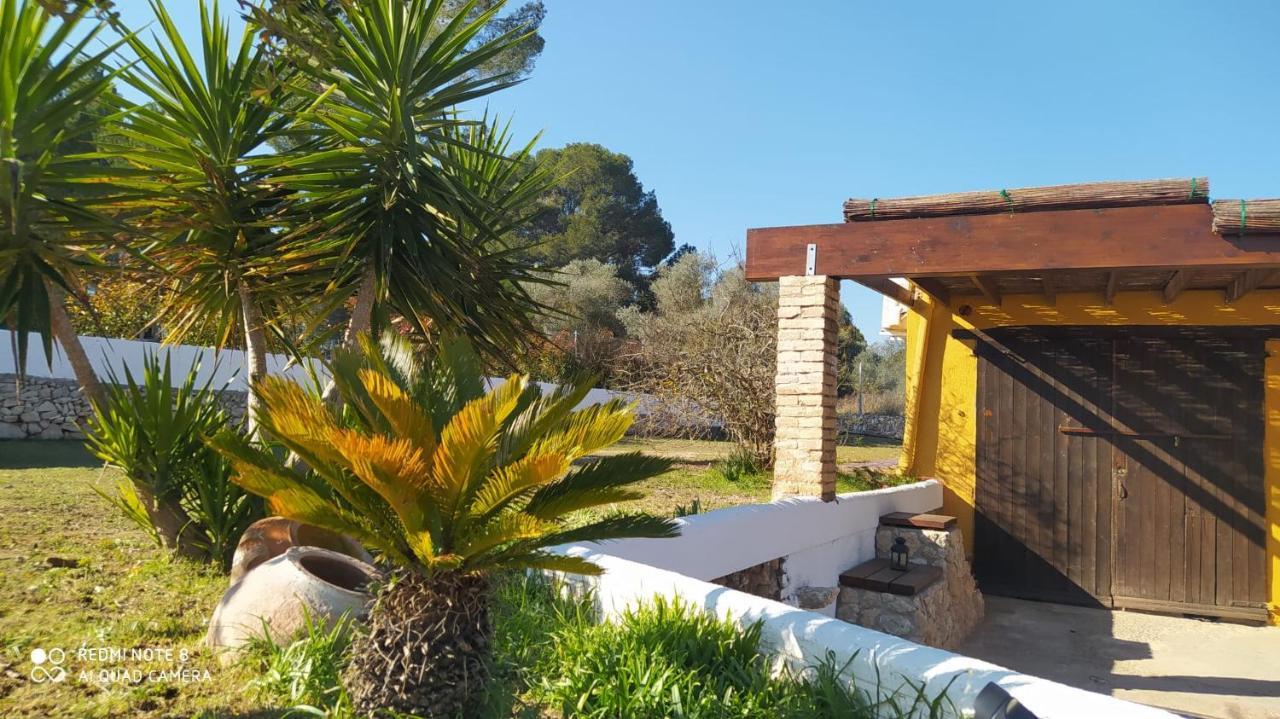 Casa Con Vistas, Piscina Y Animales De Granja, La Caseta Tarragona Ngoại thất bức ảnh