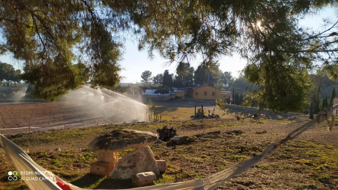 Casa Con Vistas, Piscina Y Animales De Granja, La Caseta Tarragona Ngoại thất bức ảnh