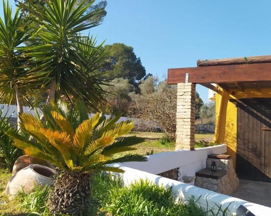 Casa Con Vistas, Piscina Y Animales De Granja, La Caseta Tarragona Ngoại thất bức ảnh